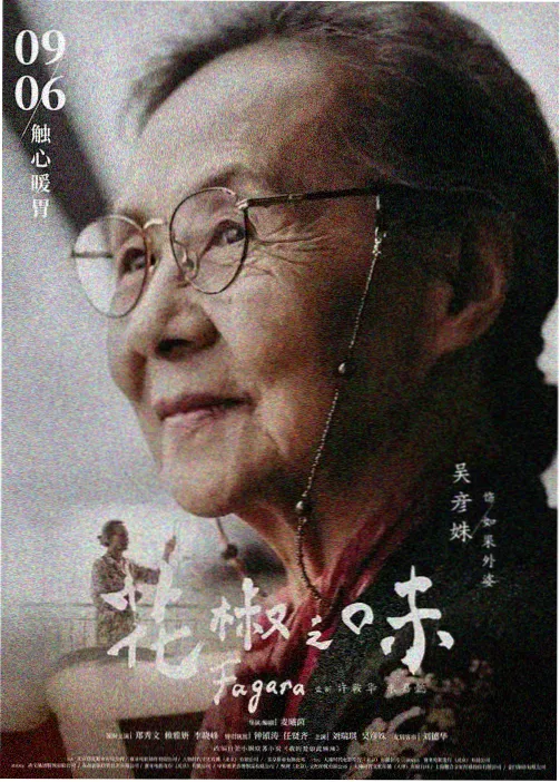 银翼少年团 动画封面